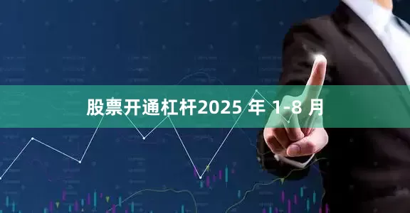 股票开通杠杆2025 年 1-8 月